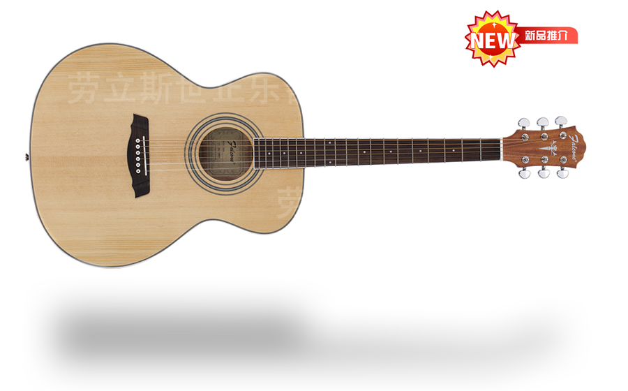 山东劳立斯世正乐器有限公司 FG50 